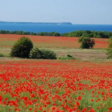 Ferienhaus Binz Villa Binz